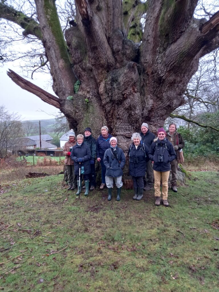 DTNW group standing by the ancient oak tree at Alfoxton